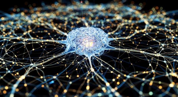Beyond the Blank Slate: How the Newborn Brain Prunes Chaos into Intelligence