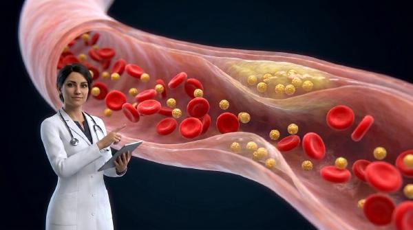 Is LDL Cholesterol Really Bad? Understanding LDL-C Targets and Heart Health