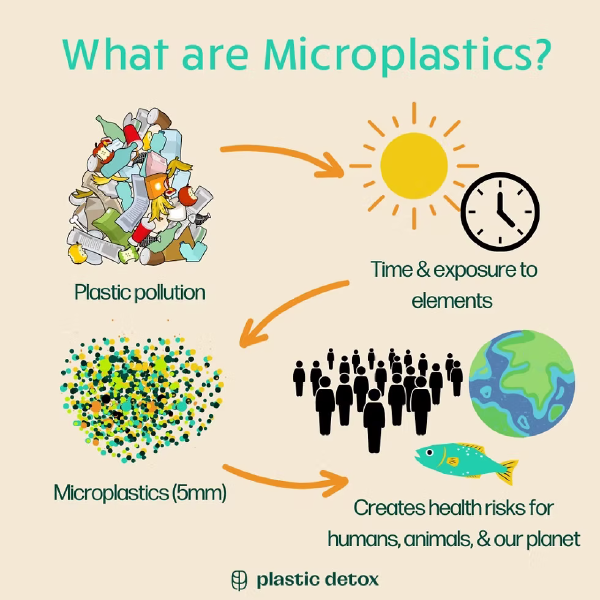 Microplastics and Heart Health: 4 Ways to Reduce Exposure