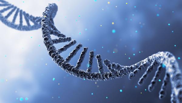 Understanding How mRNA Stability Influences Immune Diseases